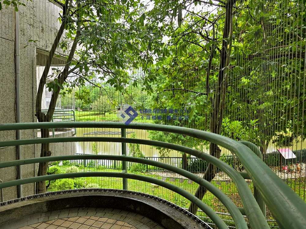 20240815雲科諮商輔導中心施 防鴿_05