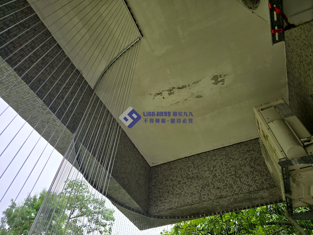 20240815雲科諮商輔導中心施 防鴿_06