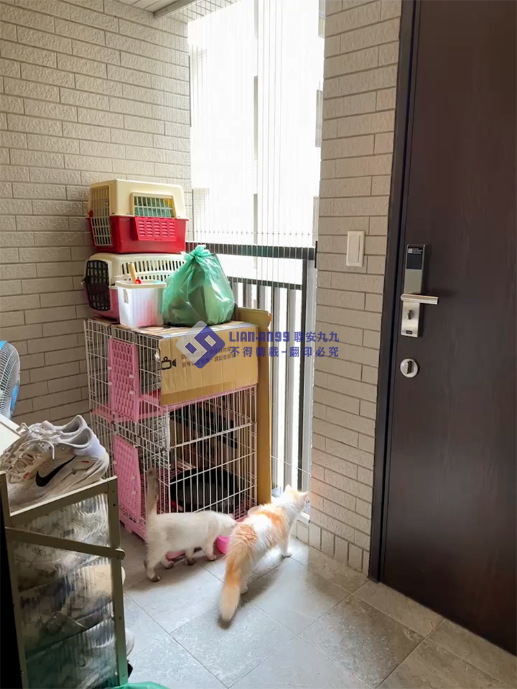 20240820高雄市楠梓區陳小姐寵物防墜_01
