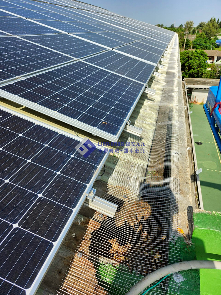 20240903麥寮高中文薈館防鴿方格網_02