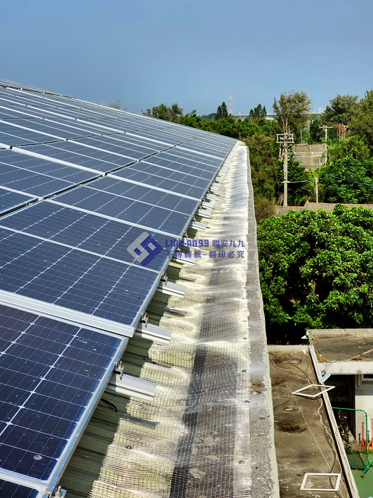 20240903麥寮高中文薈館防鴿方格網_03