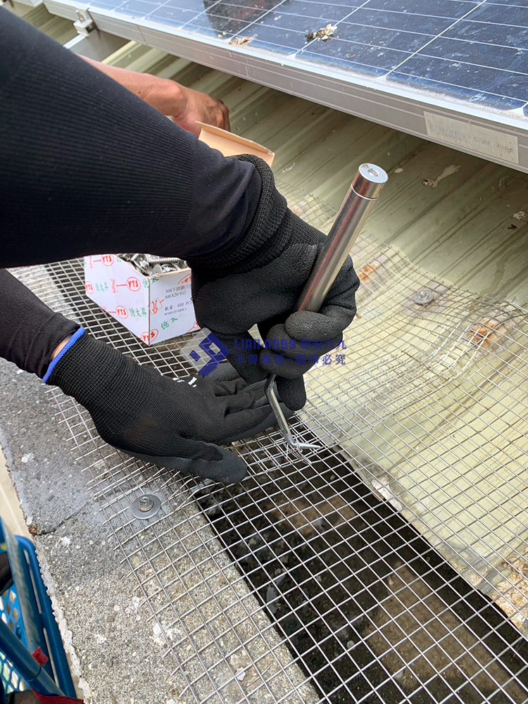 20240903麥寮高中文薈館防鴿方格網_04