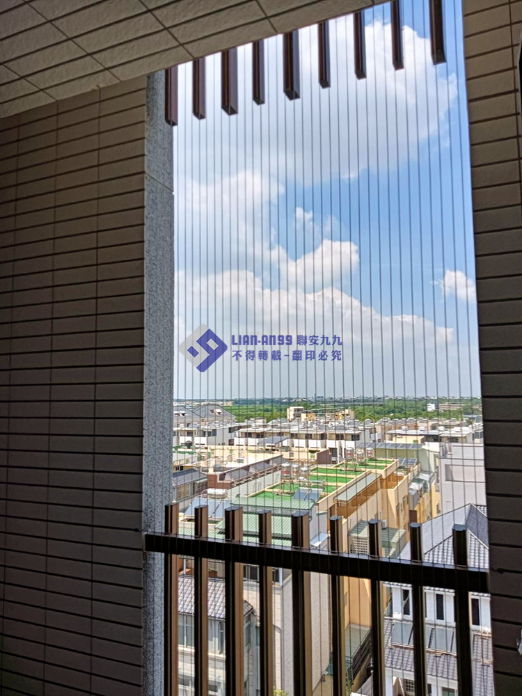 20240916雲林縣斗六市董先生防鴿_05