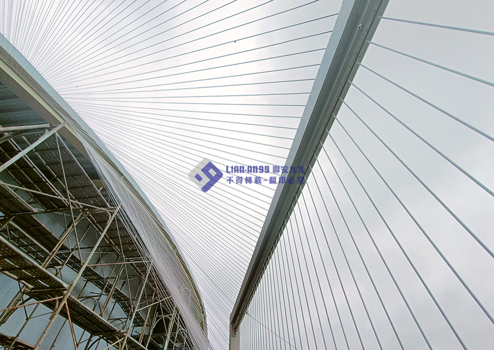 20240122台中市梧棲漁港防鴿_03