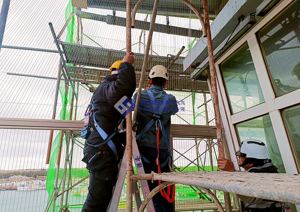 20240122台中市梧棲漁港防鴿_05