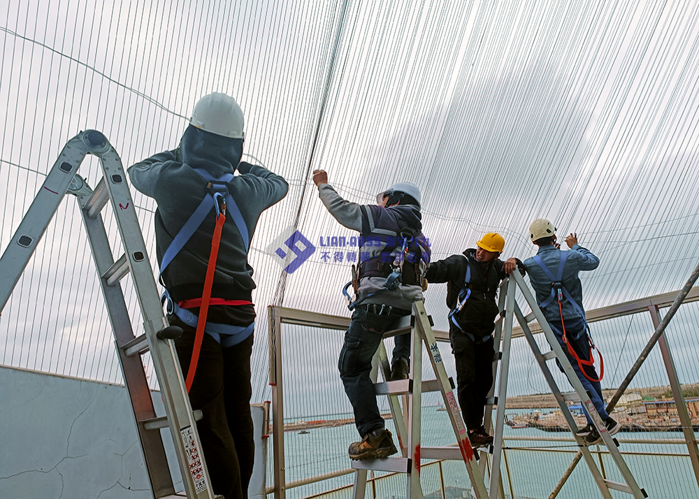 20240122台中市梧棲漁港防鴿_07