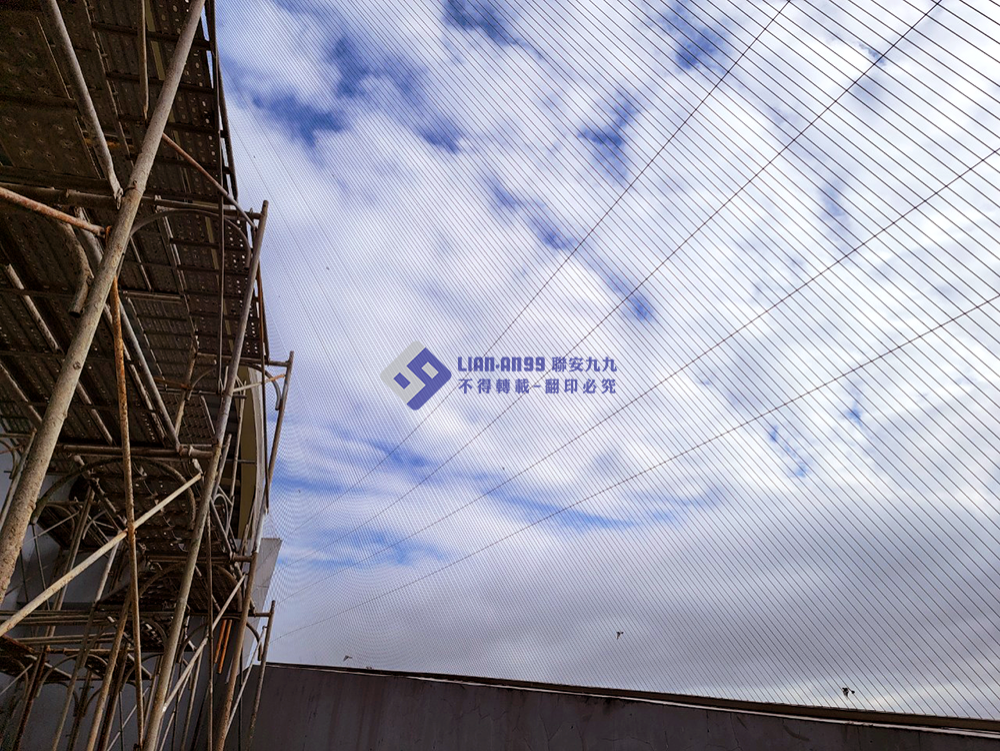 20240122台中市梧棲漁港防鴿_08