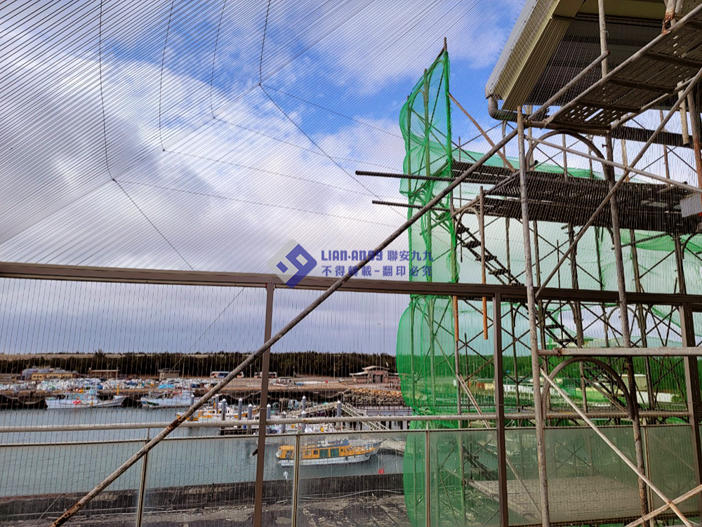 20240122台中市梧棲漁港防鴿_12_copy