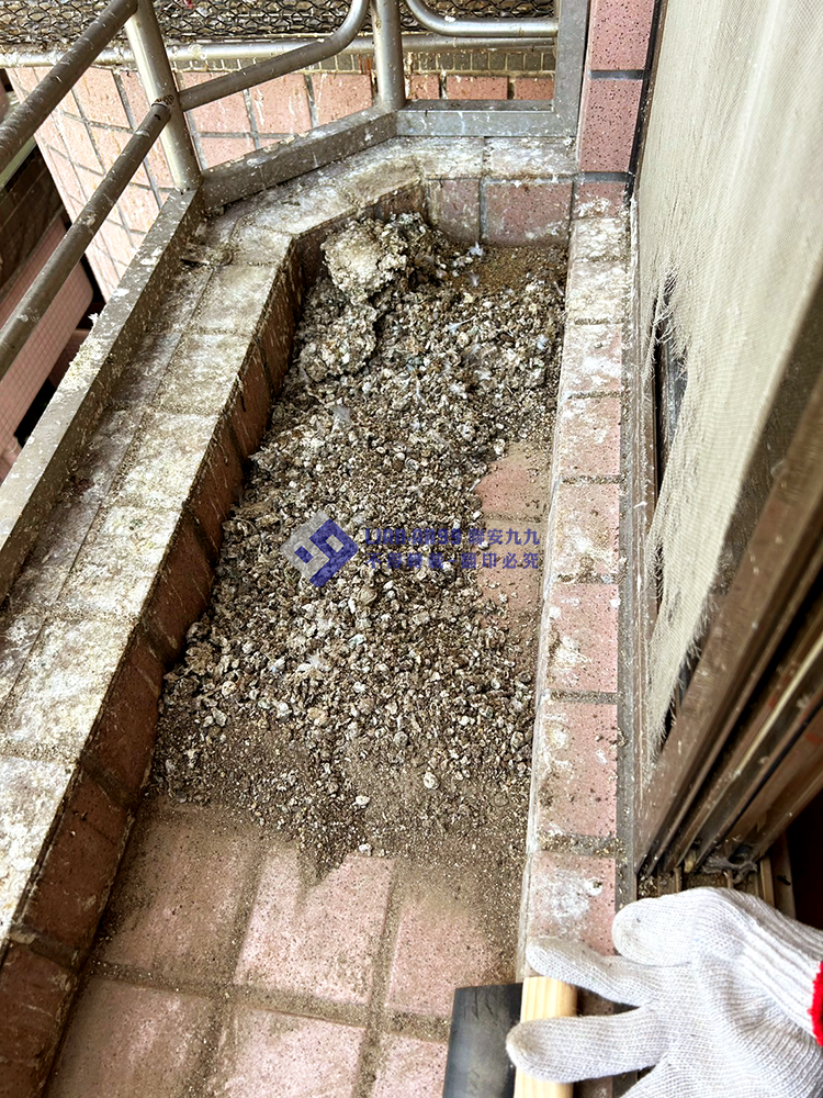 20240305雲林縣斗南鎮8樓李先生防鴿方格網_12_copy