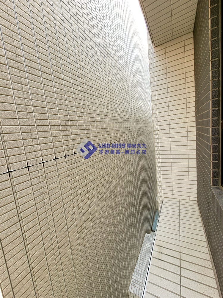 20240314台中市清水區陳小姐防鴿_03