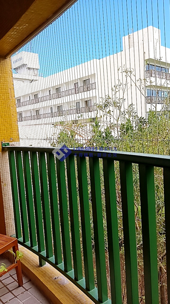 20241111花蓮縣花蓮市宣道會紀念館防鴿_01