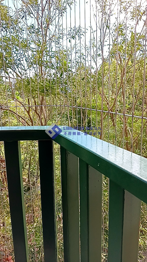 20241111花蓮縣花蓮市宣道會紀念館防鴿_03