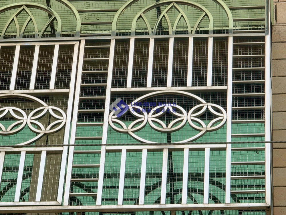 20250620台南市六甲區賴冠維診所方格網防鴿_03