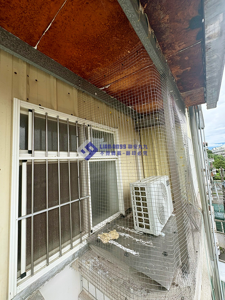 20250728雲林縣斗六市Y小姐方格網防鴿_02