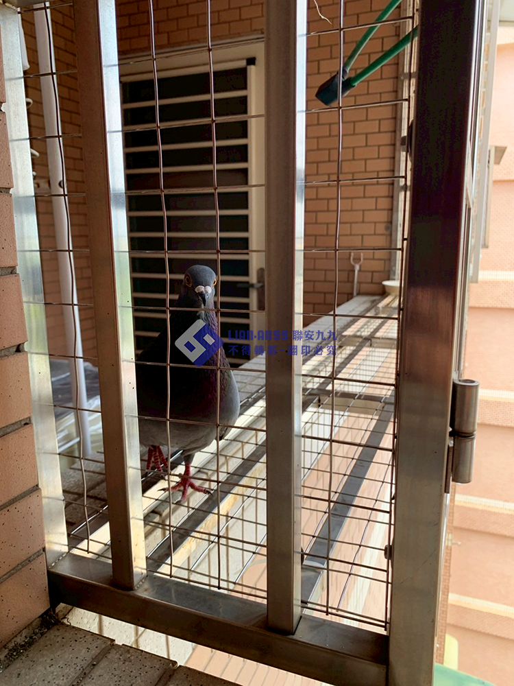 20250822高雄市岡山區古小姐養鴿方格網完工照_02