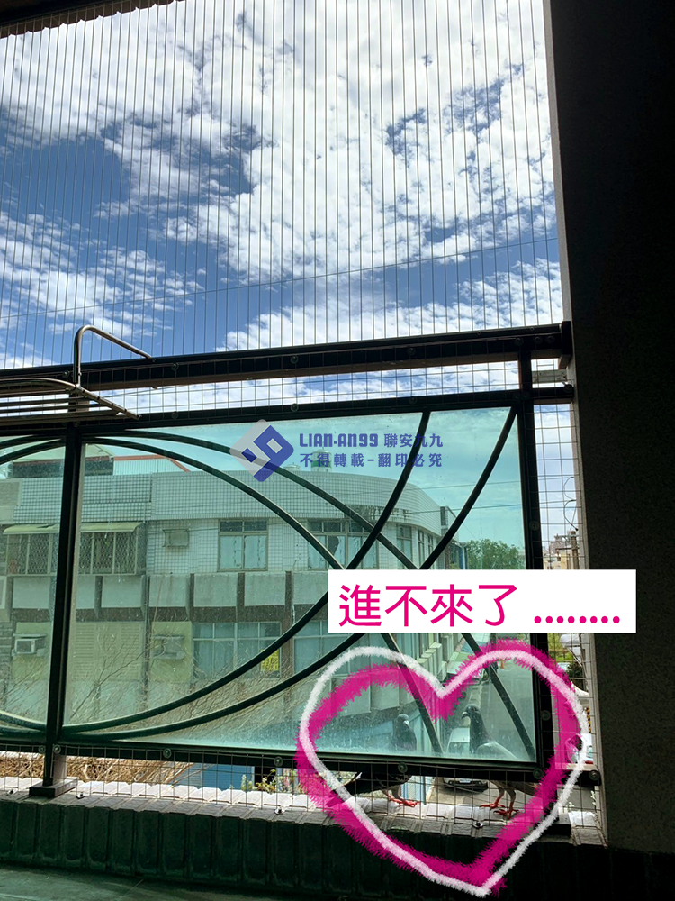 20250303高雄市橋頭區李先生防鴿_04