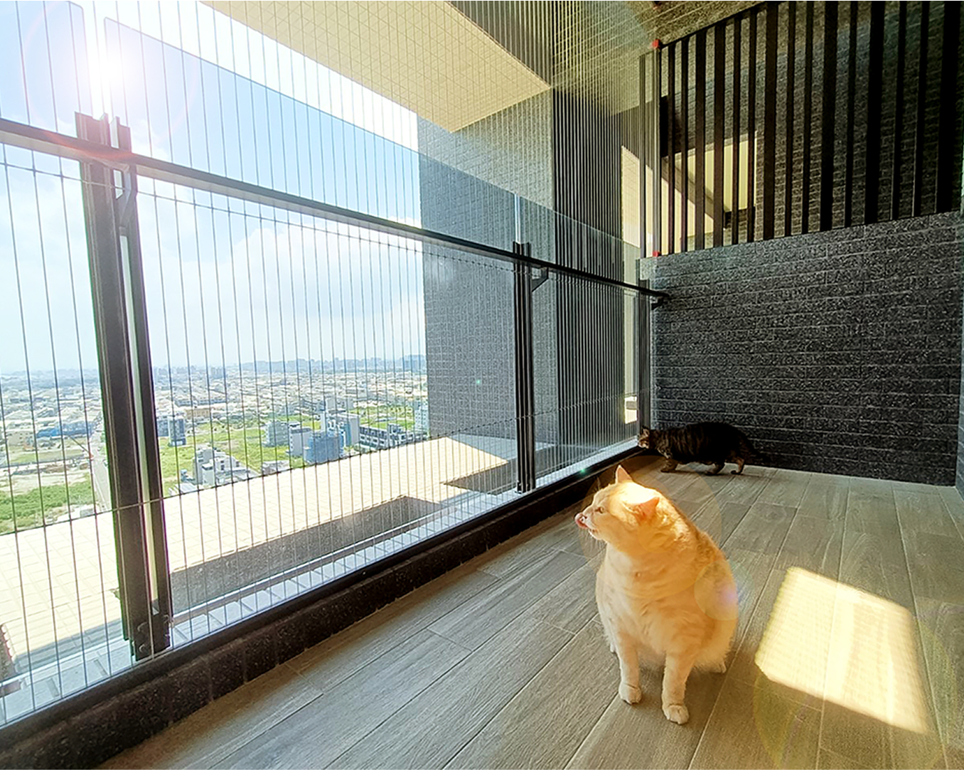 寵物安全防墜網 (防貓網)