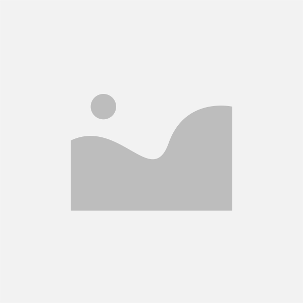 台中市西屯區黃小姐防鴿